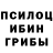 Галлюциногенные грибы мицелий Mr Lekso