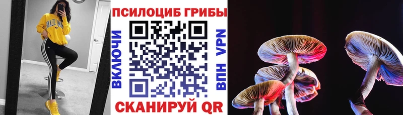это официальный сайт  Родники  Псилоцибиновые грибы мицелий 