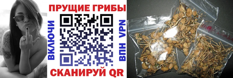 Псилоцибиновые грибы мухоморы Родники